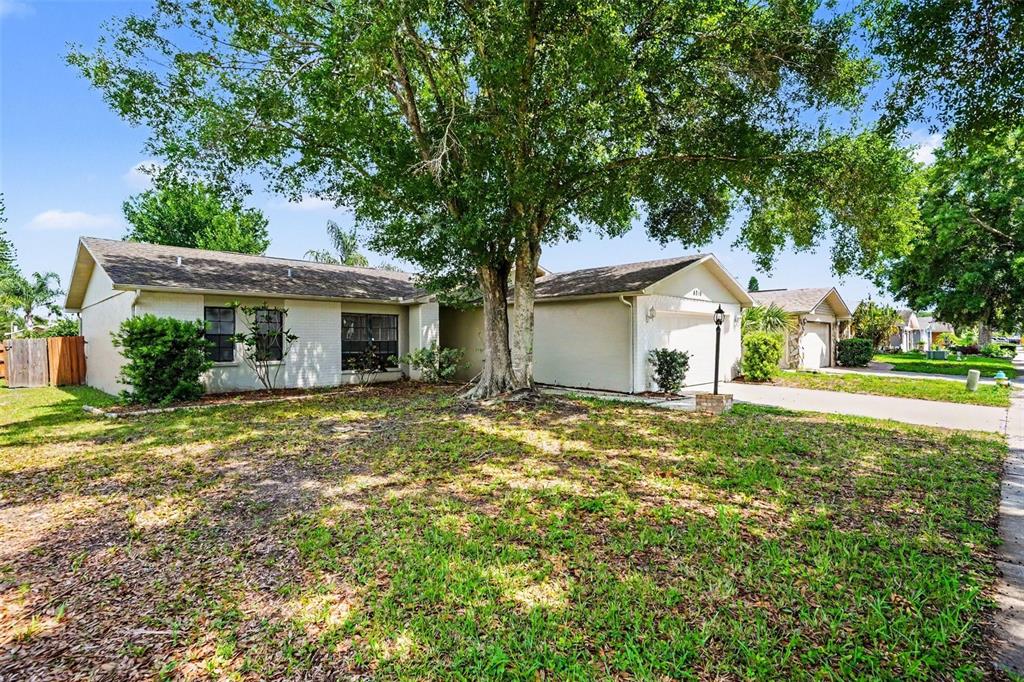 A single-story house with a large tree in the front yard and a driveway — 4816 W ADDAX DRIVE, NEW PORT RICHEY, FL