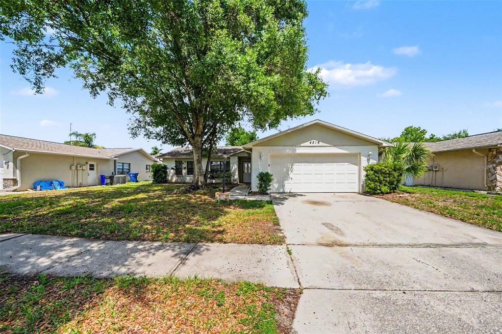 A single-story house with a white garage, a large tree, and a concrete driveway — 4816 W ADDAX DRIVE, NEW PORT RICHEY, FL