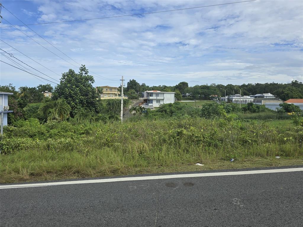 A view of an overgrown vacant lot next to a paved road with houses nearby — BO. GUERRERO MANSIONES DEL CIELO, AGUADILLA, PR