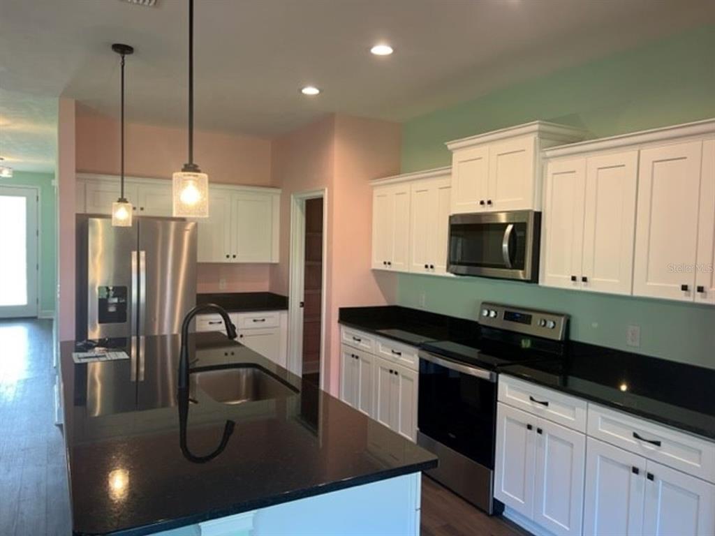 A kitchen with white cabinets, black countertops, stainless steel appliances, and two pendant lights — 12518 NW 159TH WAY, ALACHUA, FL