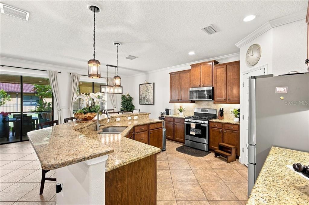 A kitchen features granite countertops, wood cabinetry, stainless steel appliances, and tile flooring — 4508 GRAND LAKESIDE DRIVE E, PALM HARBOR, FL