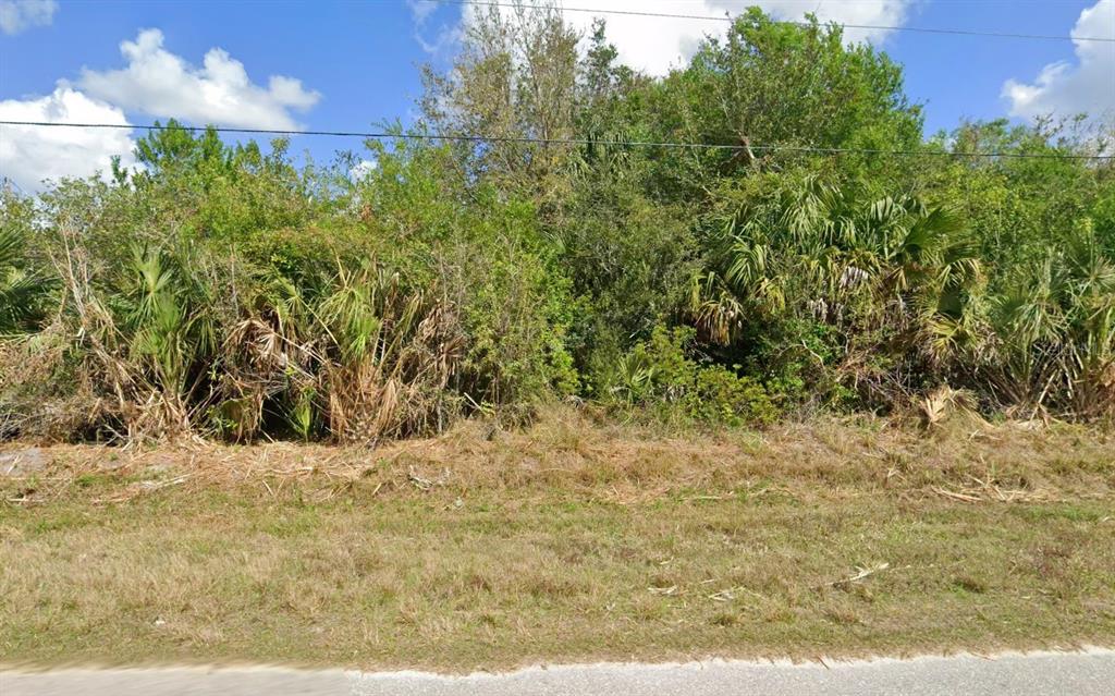 A view of a densely wooded, undeveloped lot with native Florida vegetation and palm trees — 4450 66TH AVE NE, NAPLES, FL