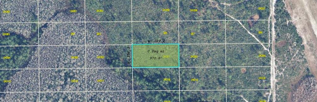 This is an aerial map showing a highlighted rectangular parcel of undeveloped land — DILL ROAD, ORLANDO, FL