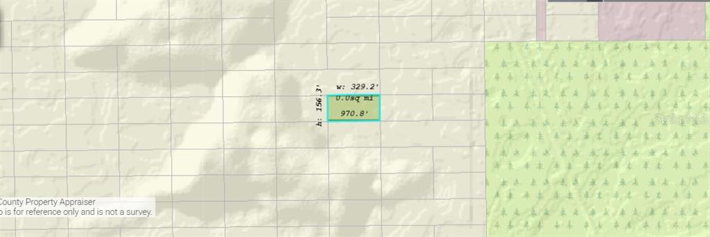 This is a map view showing the dimensions and boundary of a rectangular land parcel — DILL ROAD, ORLANDO, FL
