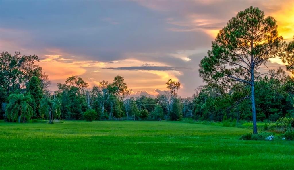 A large, grassy field is surrounded by trees under a colorful sunset sky — 909 S COUNTY ROAD 3, PIERSON, FL