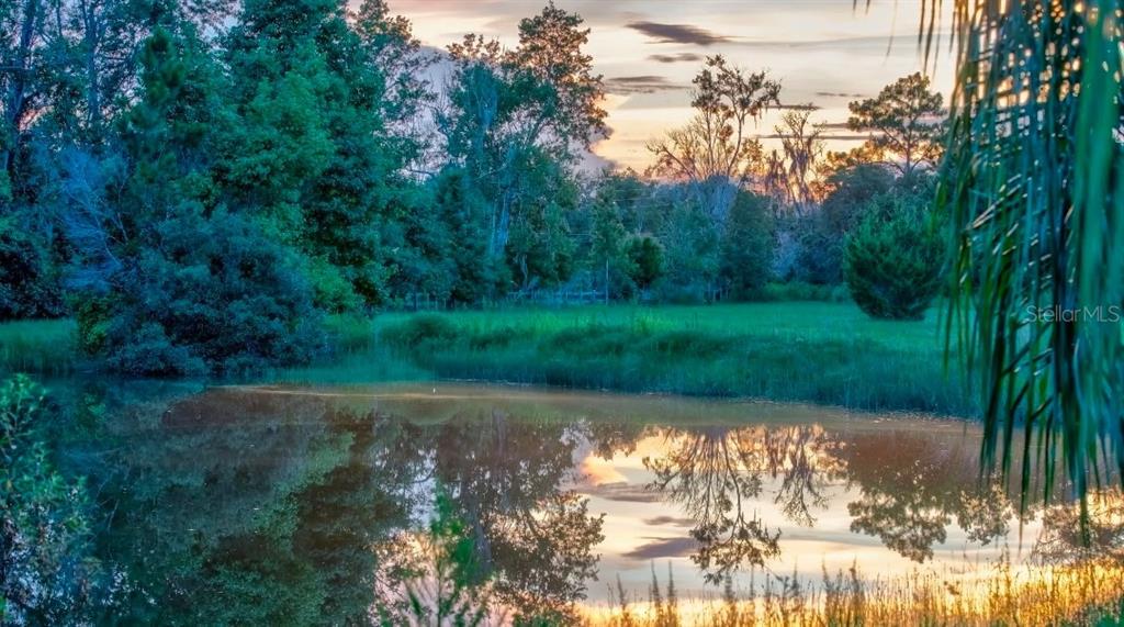 A calm pond reflects the surrounding trees and sunset sky in a grassy rural landscape — 909 S COUNTY ROAD 3, PIERSON, FL
