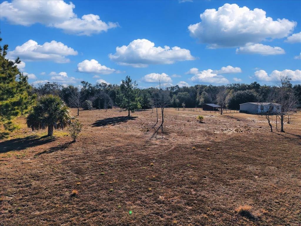 A large, grassy, open field with scattered trees and a small structure in the distance — NW 76TH AVENUE, CHIEFLAND, FL