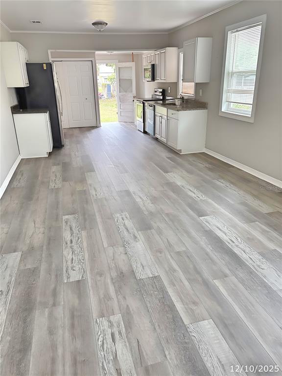 A kitchen with light wood-look flooring, white cabinets, stainless steel appliances, and a back door — 602 NW 1ST AVENUE, MULBERRY, FL