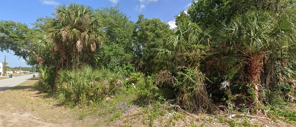 A vacant, wooded lot features several palm trees and dense vegetation along a paved road — URIAH STREET, NORTH PORT, FL