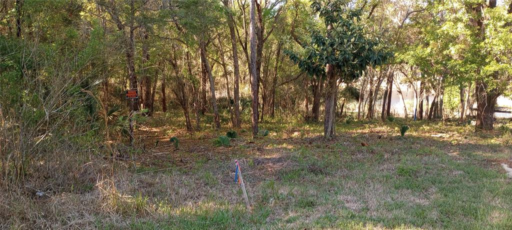 A wooded lot with a small survey marker in the foreground and a private property sign — CASAURINA ROAD, LADY LAKE, FL