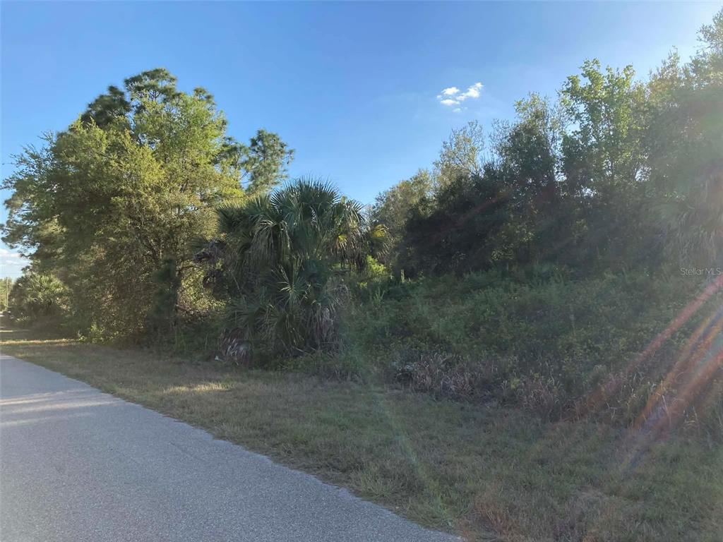 A paved road runs alongside a vacant, overgrown lot with trees and shrubs — 4 / 5 PILGRIM ROAD, NORTH PORT, FL