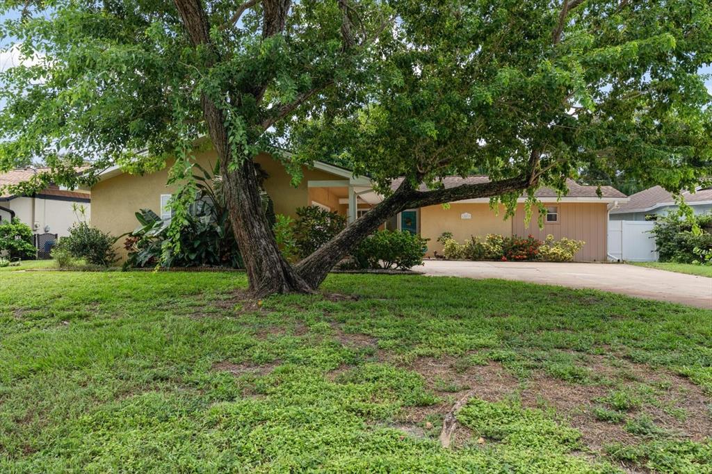 12811 LAKE DRIVE, LARGO, FL — photo 4 of 30