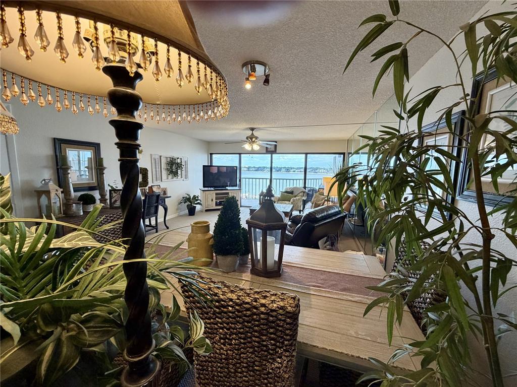 A living and dining area features a waterfront view, a crystal lamp, and indoor plants — 2 ADALIA AVENUE UNIT 405, TAMPA, FL