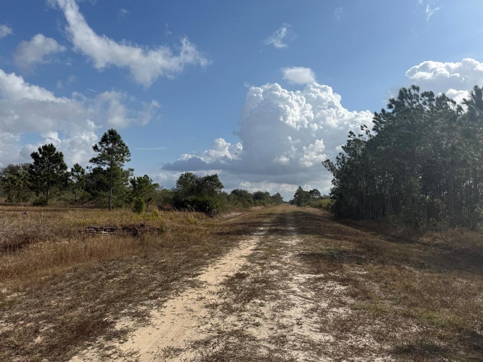 A dirt path leads through a grassy field bordered by trees under a cloudy sky — 16375 NW 314th Street, Okeechobee FL 34972, OKEECHOBEE, FL