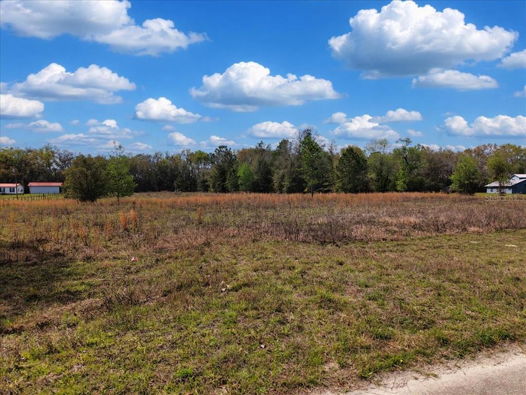 A large, flat, grassy vacant lot with scattered trees under a blue, cloudy sky — 17350 NW 1ST AVENUE, TRENTON, FL