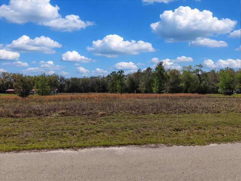 A flat, grassy, and brush-covered vacant lot sits alongside a paved road under a blue sky — 17350 NW 1ST AVENUE, TRENTON, FL