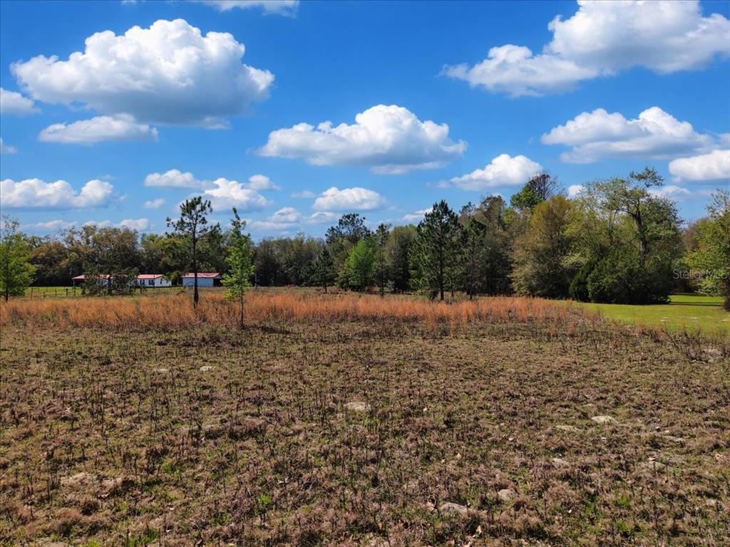 A grassy, partially cleared lot features scattered trees and a distant view of buildings — 17350 NW 1ST AVENUE, TRENTON, FL
