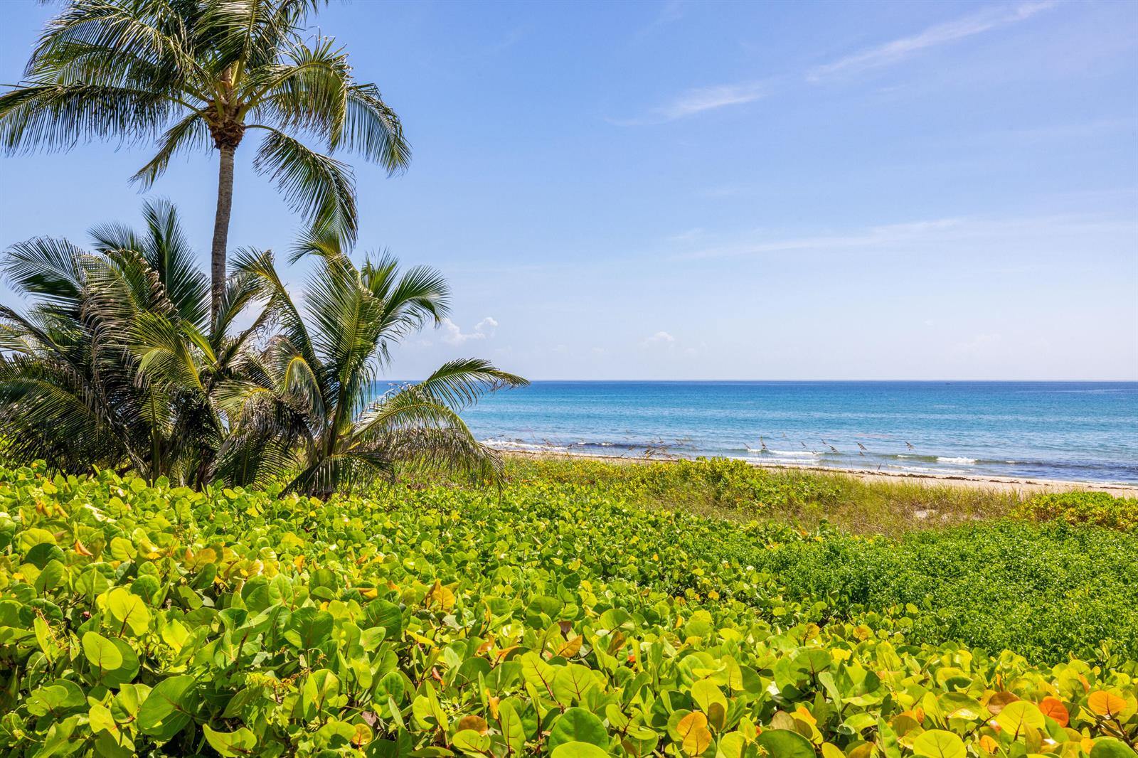 246 NE 14th Street, Delray Beach FL 33444