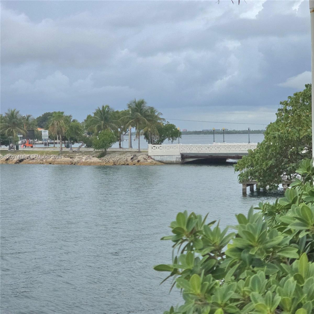 A view of a waterway with a white bridge and palm trees under a cloudy sky — 5 Island Ave # 5A, Miami Beach FL 33139, MIAMI BEACH, FL