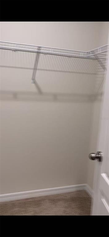A walk-in closet features beige carpet, neutral walls, and a white wire shelving system — 304 SOFIA LANE, LAKE ALFRED, FL