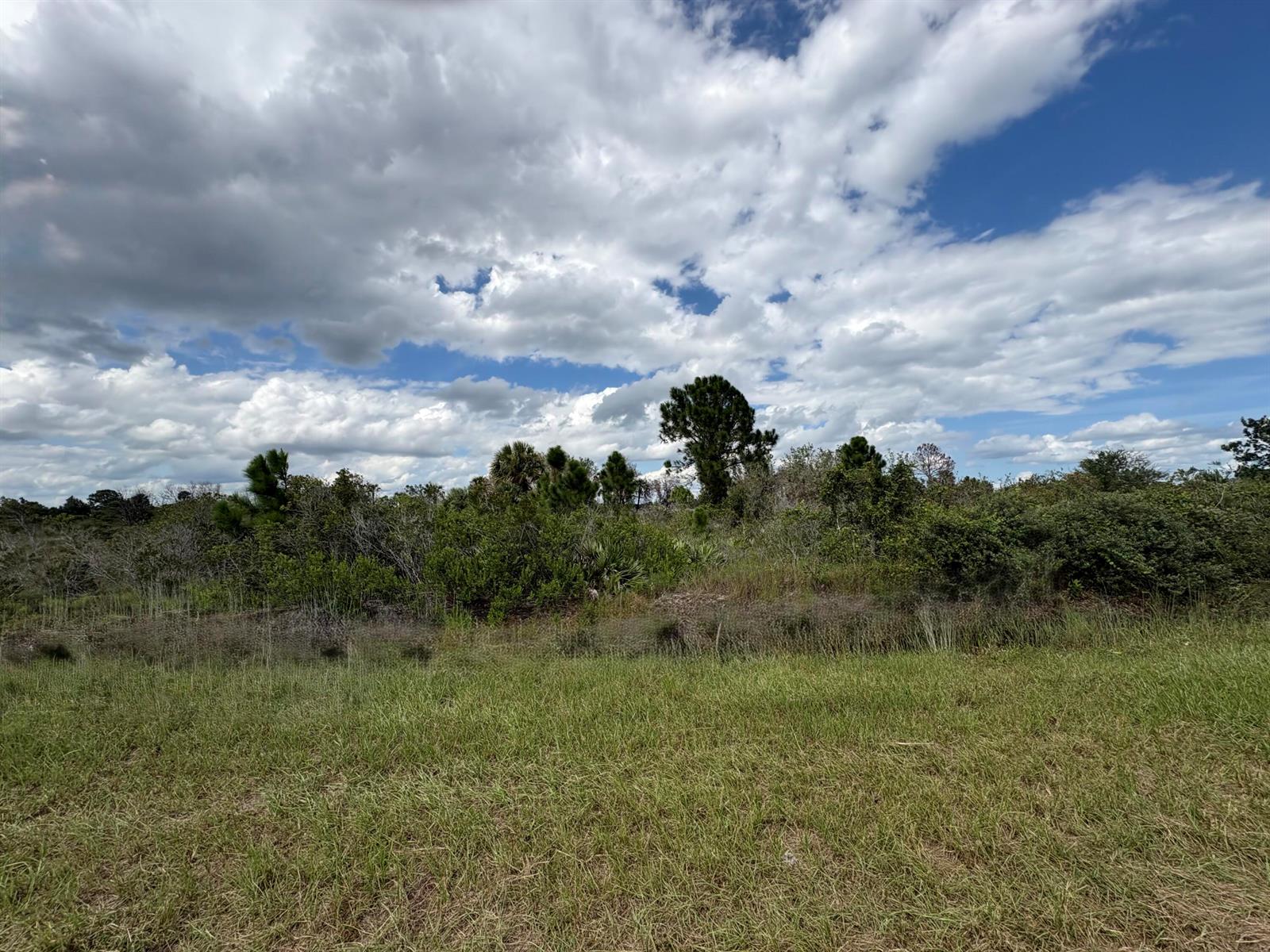 A grassy field leads to a dense line of trees and shrubs under a cloudy sky — 17275 NW 308th Street, Okeechobee FL 34972, OKEECHOBEE, FL