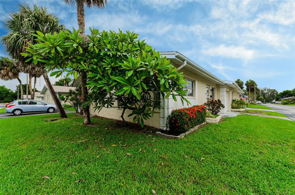 A side view of a single-story house with a large tree and red flowering bushes — 830 CAMBRIDGE COURT, DUNEDIN, FL