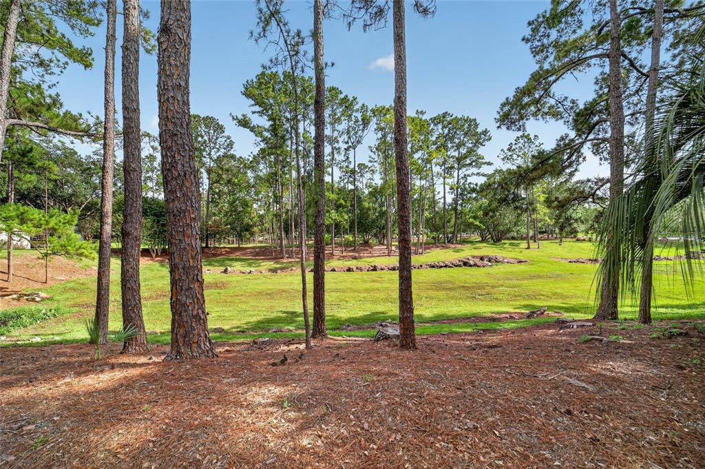 A grassy clearing surrounded by tall pine trees and a layer of pine needles — 8891 SW 96TH LANE UNIT E, OCALA, FL