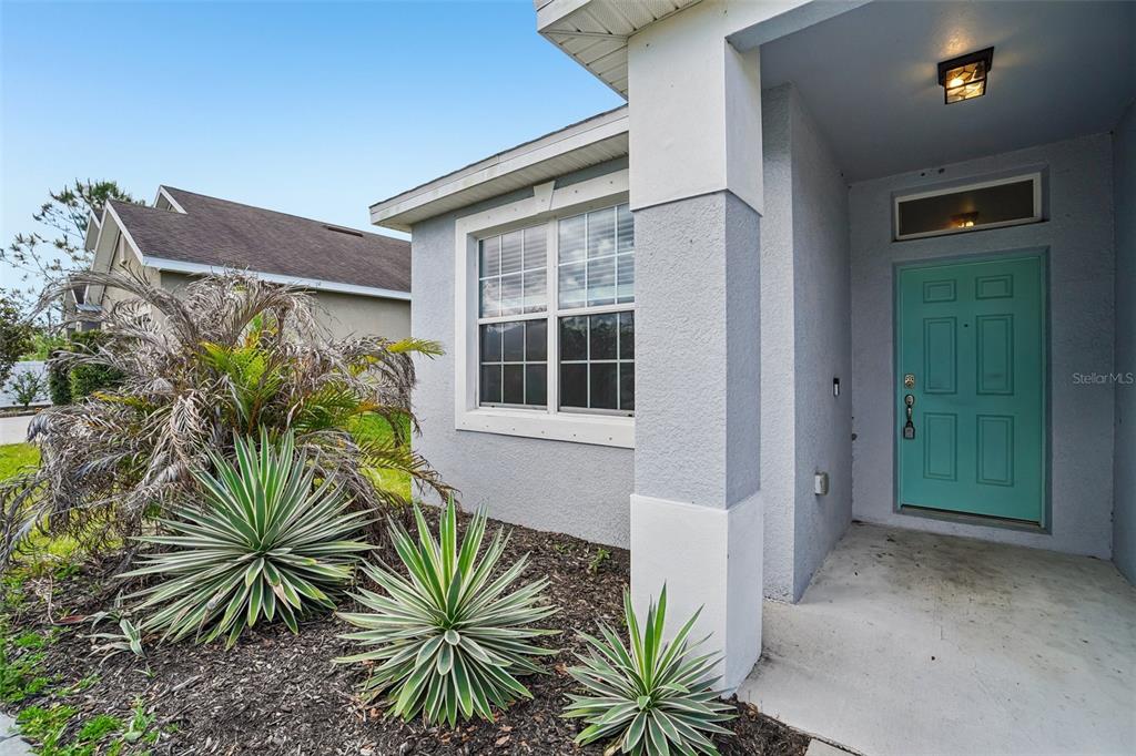 The exterior of a house features a light blue door, a window, and desert-style landscaping — 14310 ALISTAR MANOR DRIVE, WIMAUMA, FL
