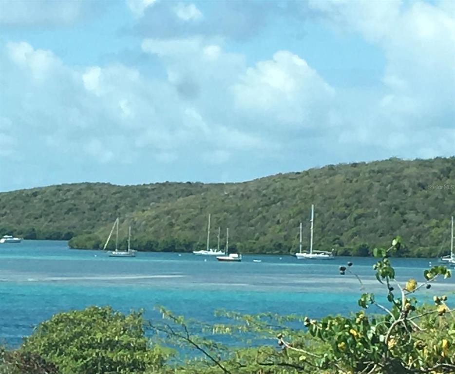 A view of sailboats anchored in a bay with a forested hillside in the background — Punta Canero,BO. Frailes COSTA BONITA UNIT 1702, CULEBRA, PR
