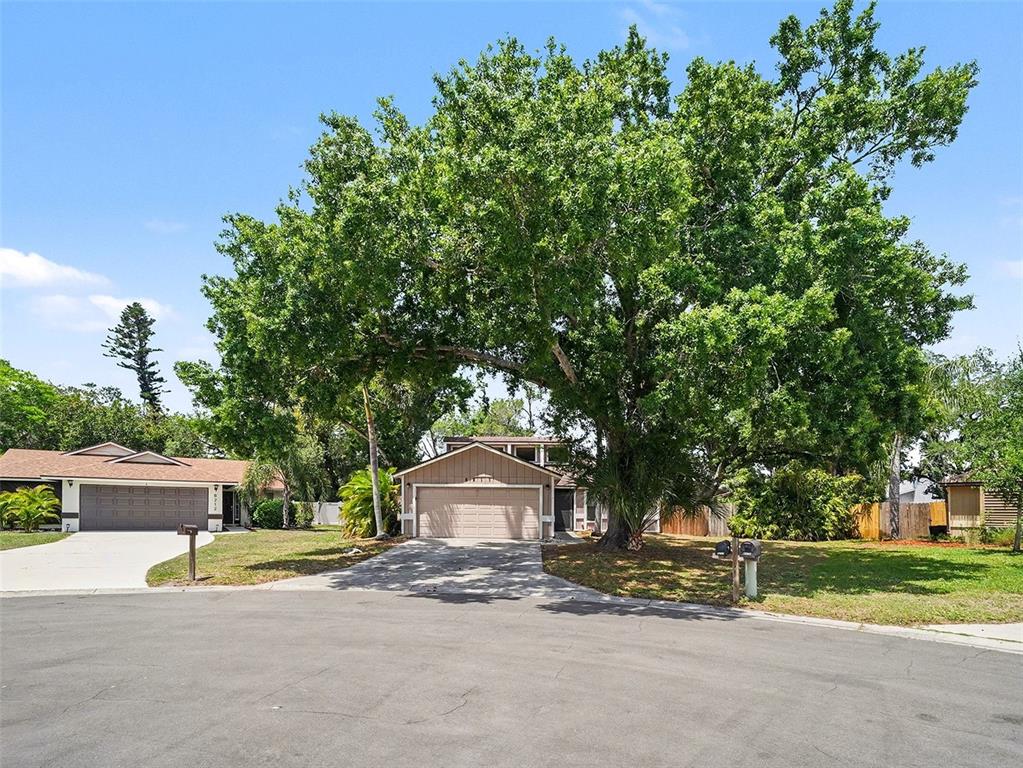 8211 COUNTRY OAKS COURT