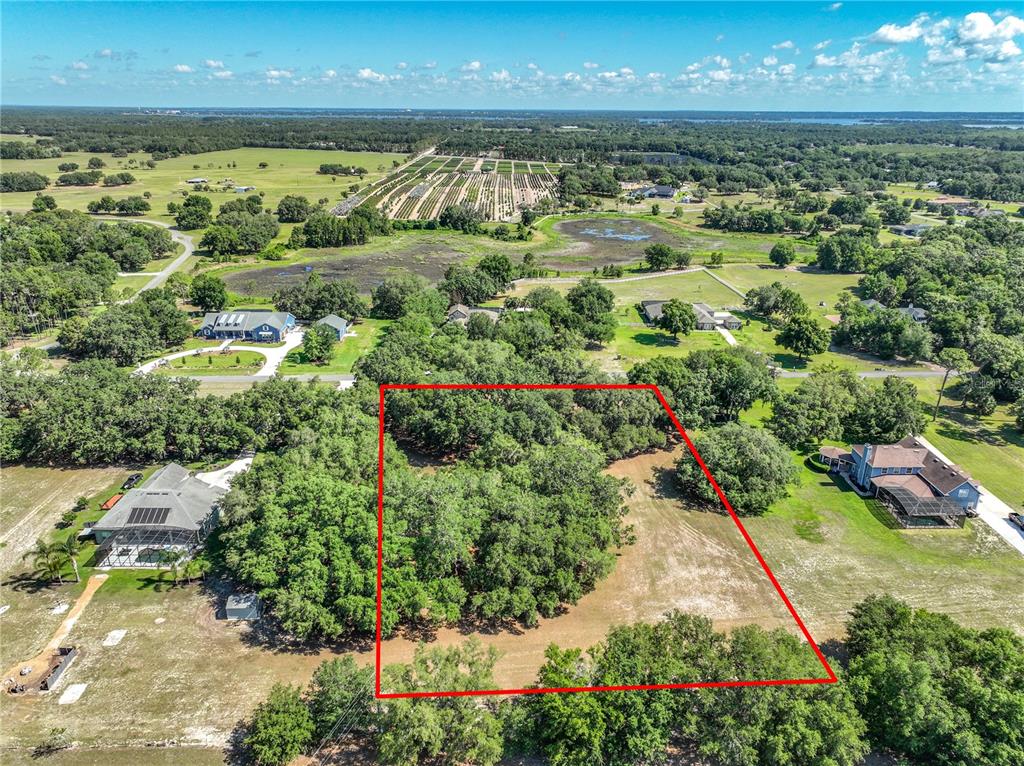 An aerial view shows a rectangular plot of land outlined in red near residential homes — TROTTING HORSE LANE, TAVARES, FL