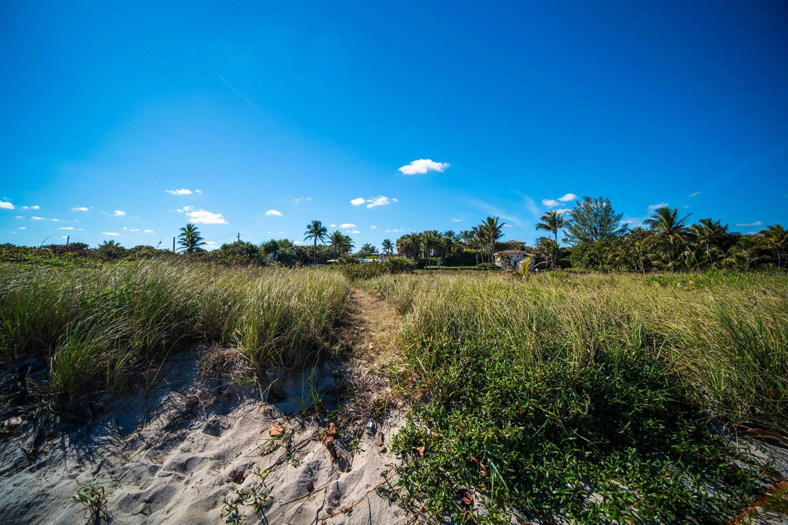 A sandy path leads through tall beach grass toward palm trees and a distant house — 4000 S Ocean Boulevard, Lantana FL 33462, LANTANA, FL