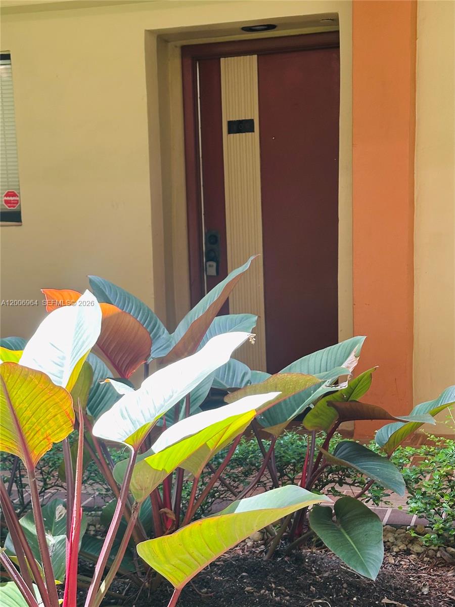 A red front door is framed by a yellow wall and surrounded by tropical plants — 8700 SW 133rd Ave Rd # 109, Miami FL 33183, MIAMI, FL