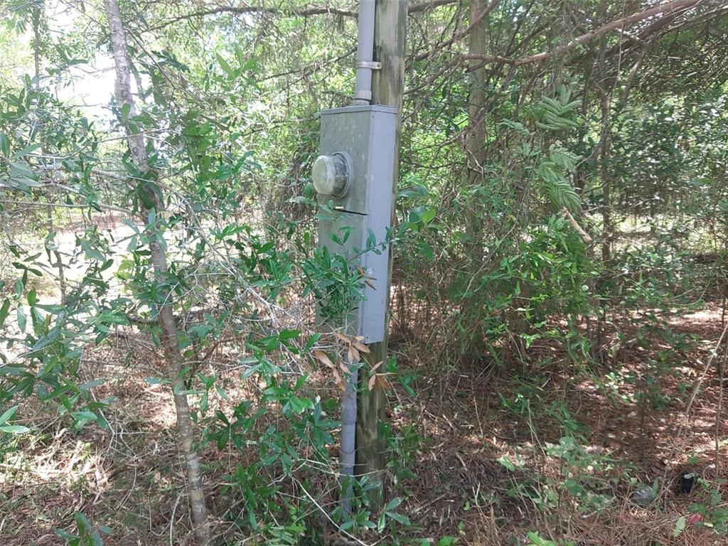 An electrical meter box is mounted on a wooden utility pole amidst overgrown trees — 15475 SW 36TH STREET, OCALA, FL