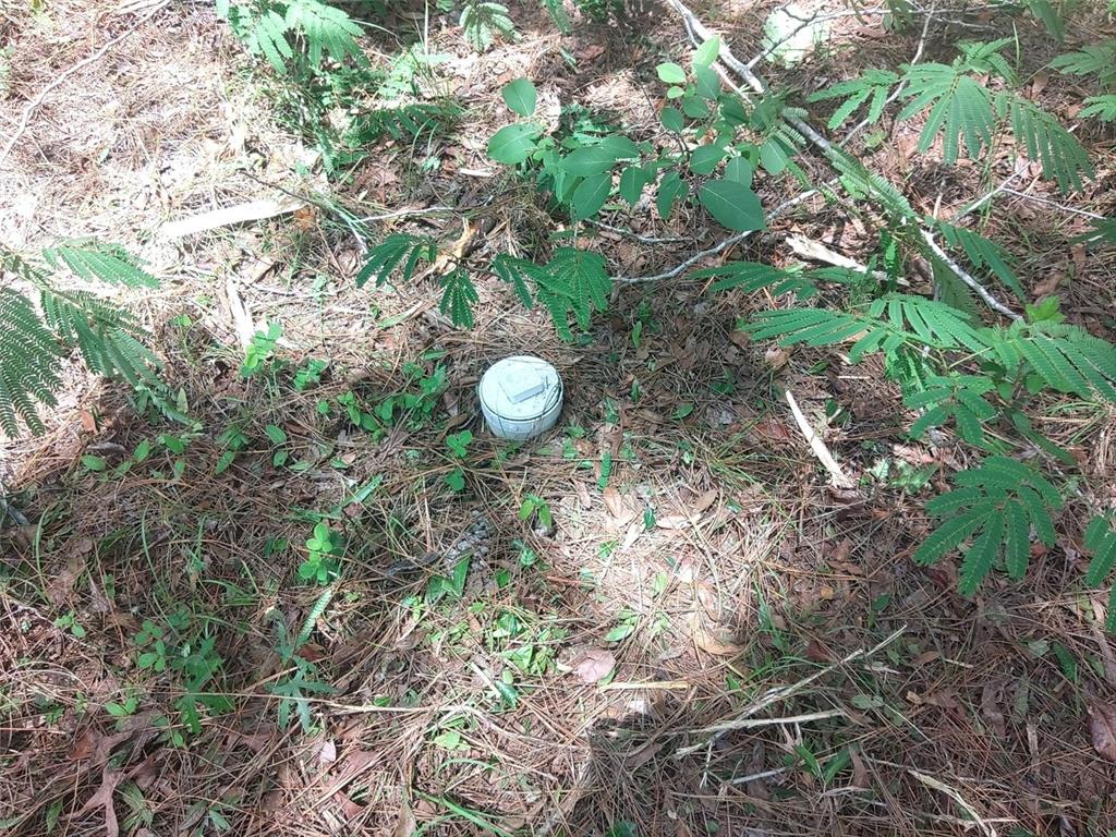 A white PVC pipe cap sits in a wooded area covered with pine needles — 15475 SW 36TH STREET, OCALA, FL