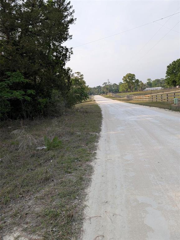 A dirt road runs alongside a grassy area with trees and a wooden fence — 15475 SW 36TH STREET, OCALA, FL