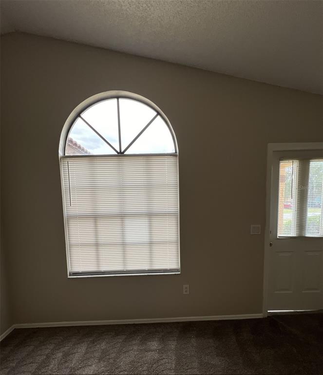 A room with dark carpet, beige walls, an arched window with blinds, and a door — 319 OAK TRACK DRIVE, OCALA, FL