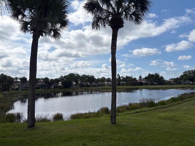 A view of a pond with palm trees in the foreground and houses in the distance — 8753 MERION AVENUE, SARASOTA, FL