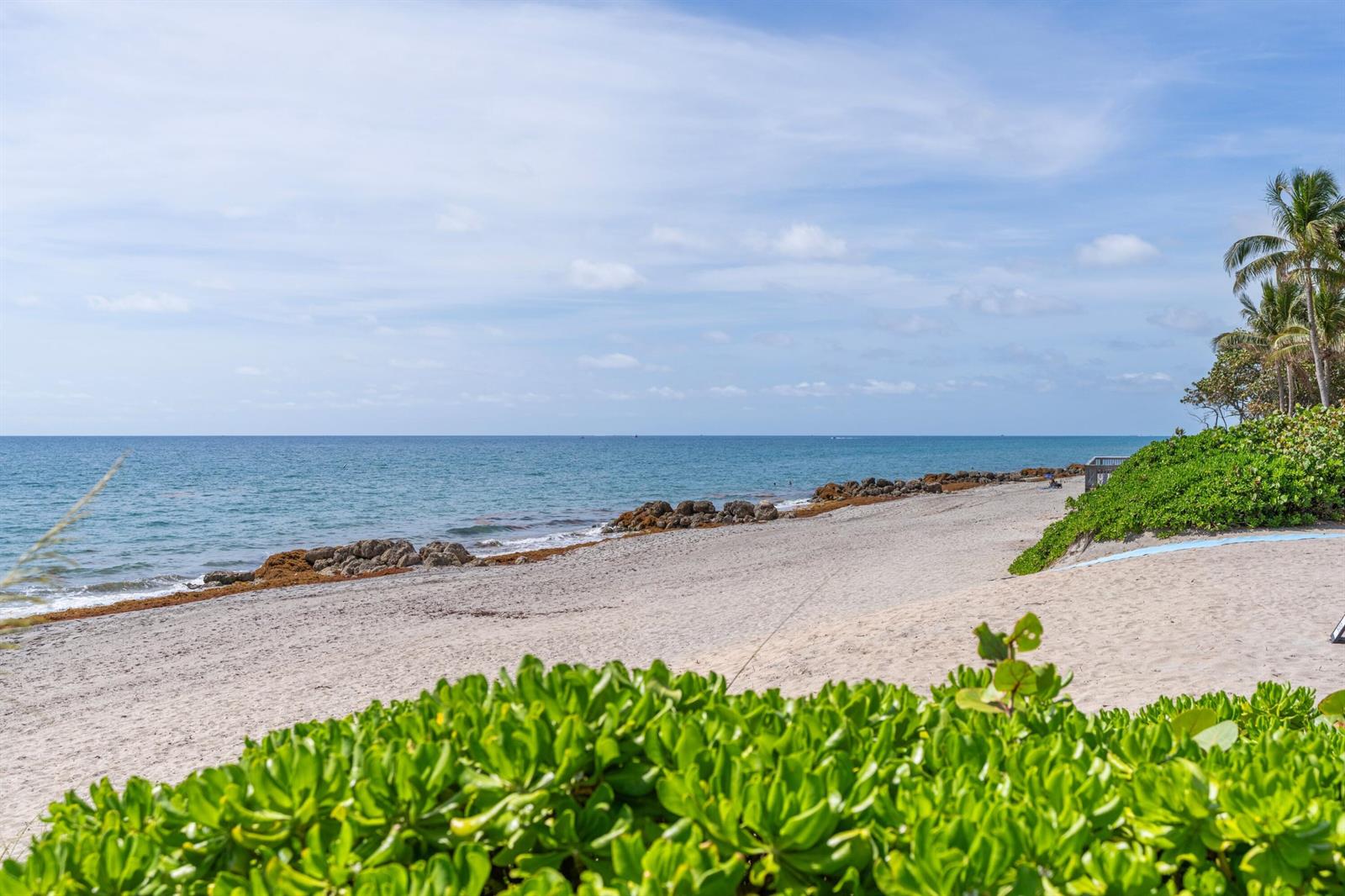 A sandy beach with rocky shoreline, green coastal vegetation, and palm trees under a blue sky — 701 SE 21st Avenue # 109, Deerfield Beach FL 33441, DEERFIELD BEACH, FL