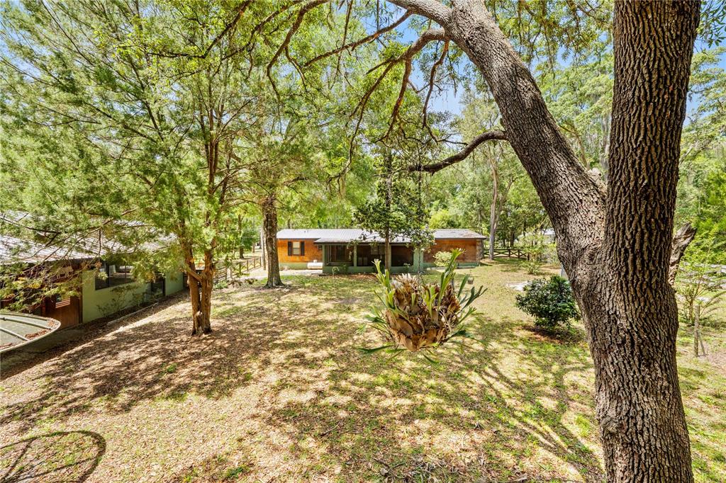 A view of a backyard with a house, trees, and a hanging staghorn fern — 27137 LAMBETH ROAD, BROOKSVILLE, FL