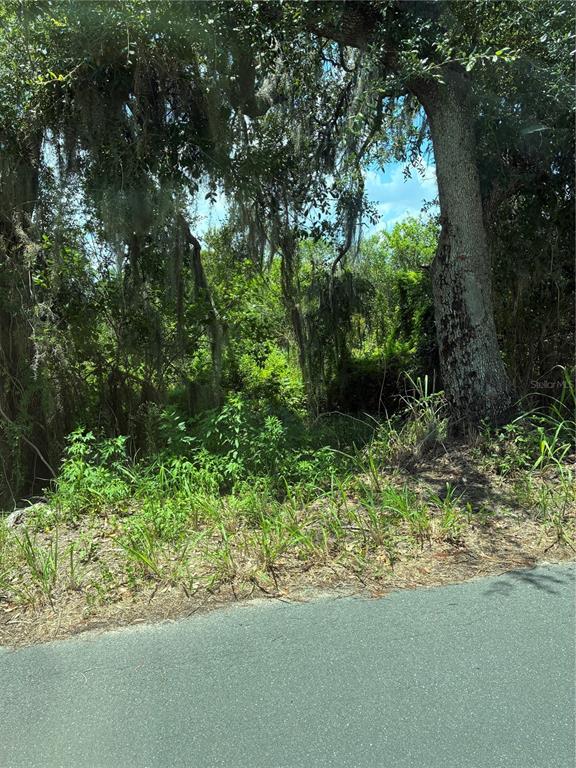 SEAMAN AVENUE, ST CLOUD, FL — photo 3 of 4
