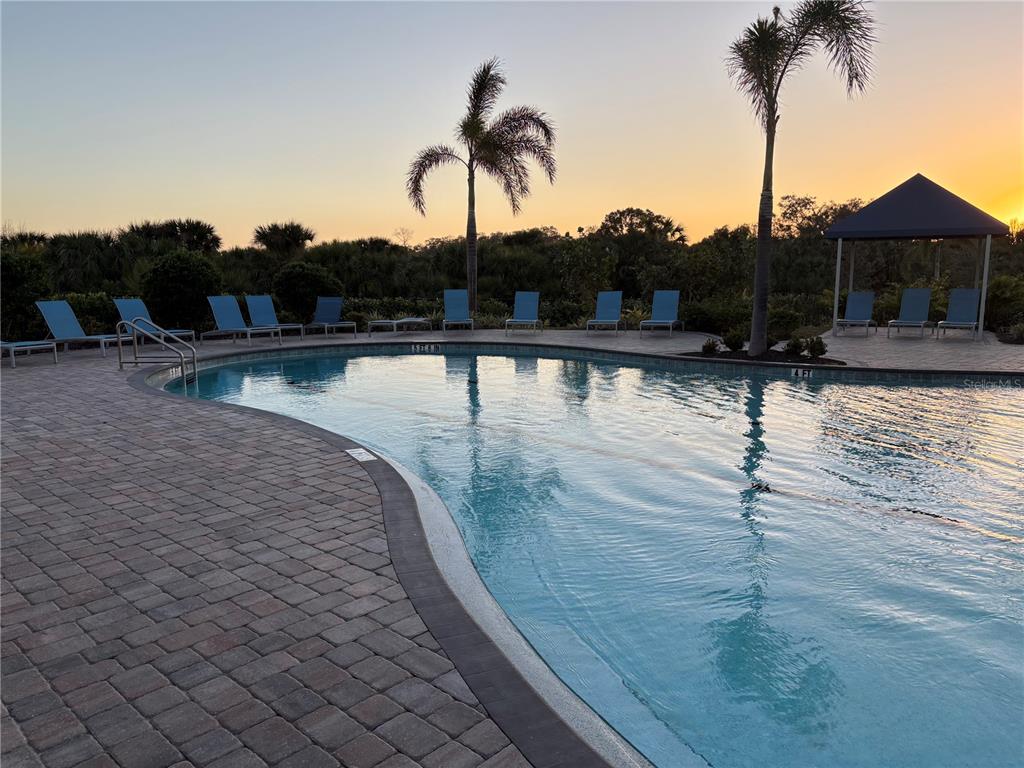 A swimming pool with lounge chairs and palm trees at sunset — 12571 NIGHT VIEW DRIVE, SARASOTA, FL
