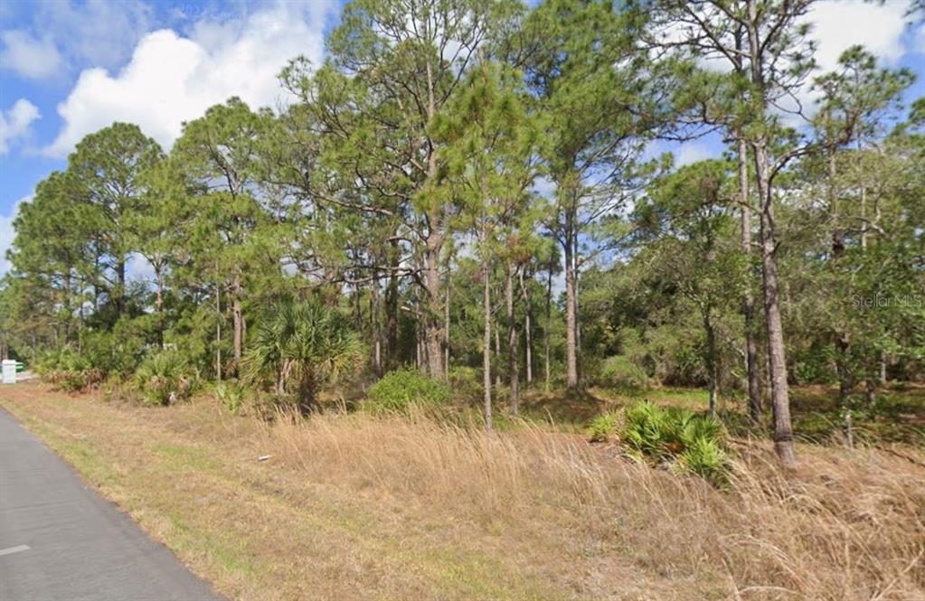 A paved road runs alongside a wooded lot with tall pine trees and palmetto bushes — 1252 RAMBLER TERRACE, PORT CHARLOTTE, FL