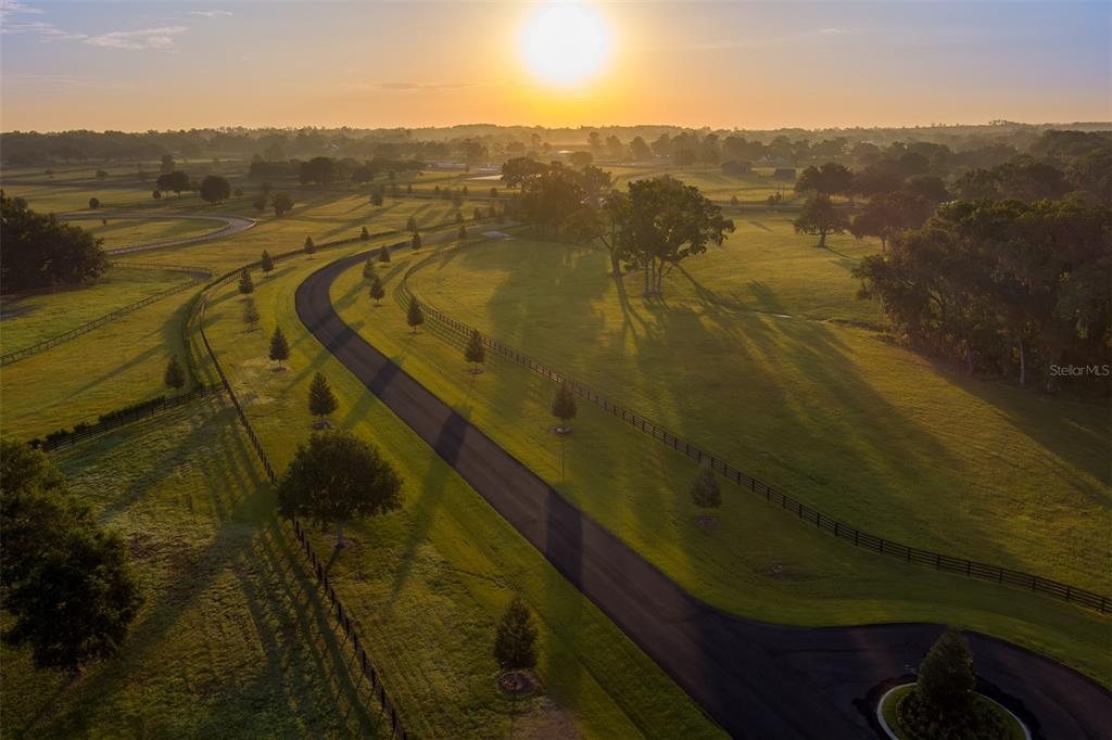 An aerial view of a paved driveway winding through a large, grassy, tree-lined pasture — 11771 NW 50TH LANE ROAD, OCALA, FL