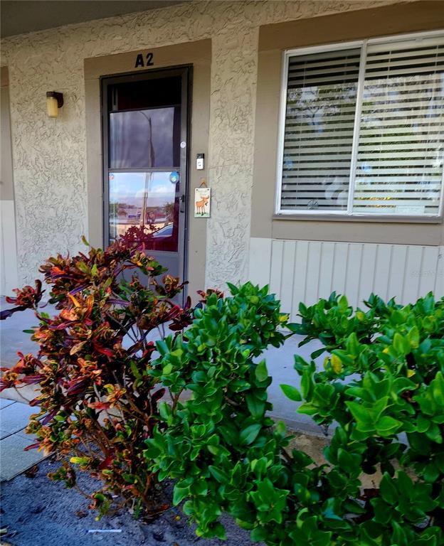 An exterior view of an apartment entrance labeled A2 with a window and landscaping — 6328 NEWTOWN CIRCLE UNIT 28A2, TAMPA, FL