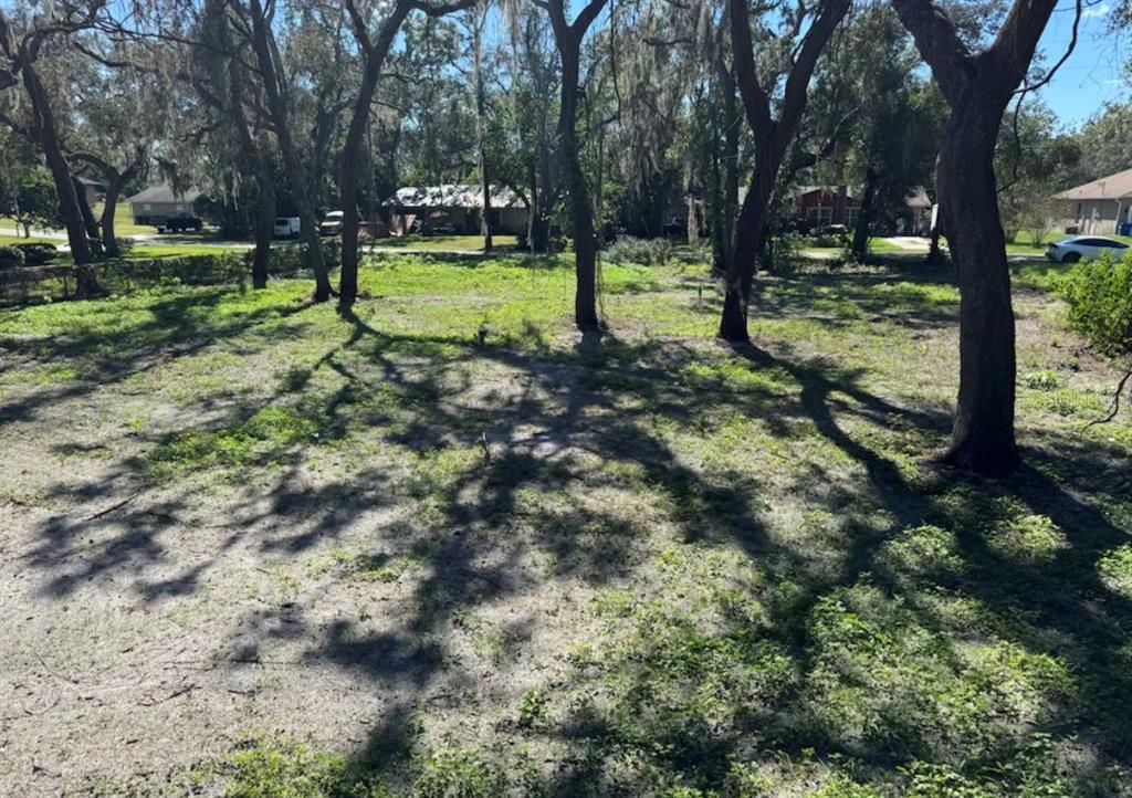 A grassy, partially shaded vacant lot with several mature trees and surrounding residential houses — 34779 HIBISCUS DRIVE, DADE CITY, FL