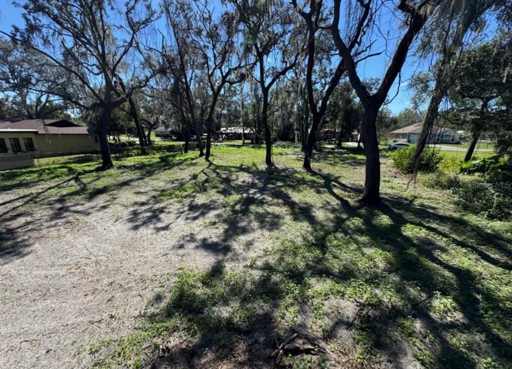 A wooded, grassy lot with sandy ground and several large trees under a clear sky — 34779 HIBISCUS DRIVE, DADE CITY, FL
