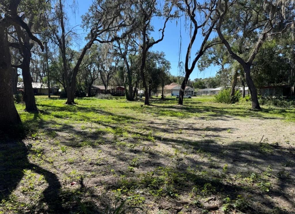 A vacant, grassy lot with several large trees and surrounding houses in the background — 34779 HIBISCUS DRIVE, DADE CITY, FL