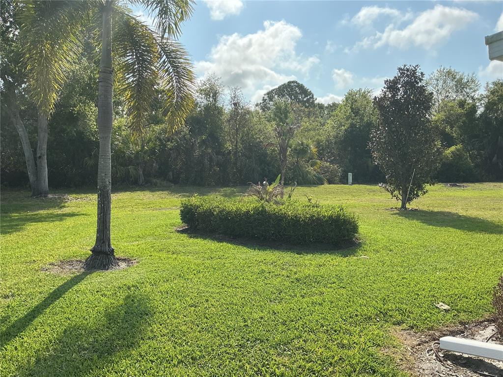 A grassy backyard features a palm tree, a central hedge, and surrounding mature trees — 1802 BEDFORD LANE UNIT 1, SUN CITY CENTER, FL