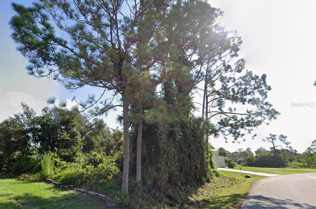 A view of a wooded lot with tall pine trees next to a paved road — Lot 12 WARRIOR AVENUE, NORTH PORT, FL